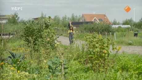 Het Klokhuis | Moestuin
